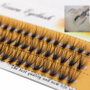 60pcs Professional Cluster Eye Lashes